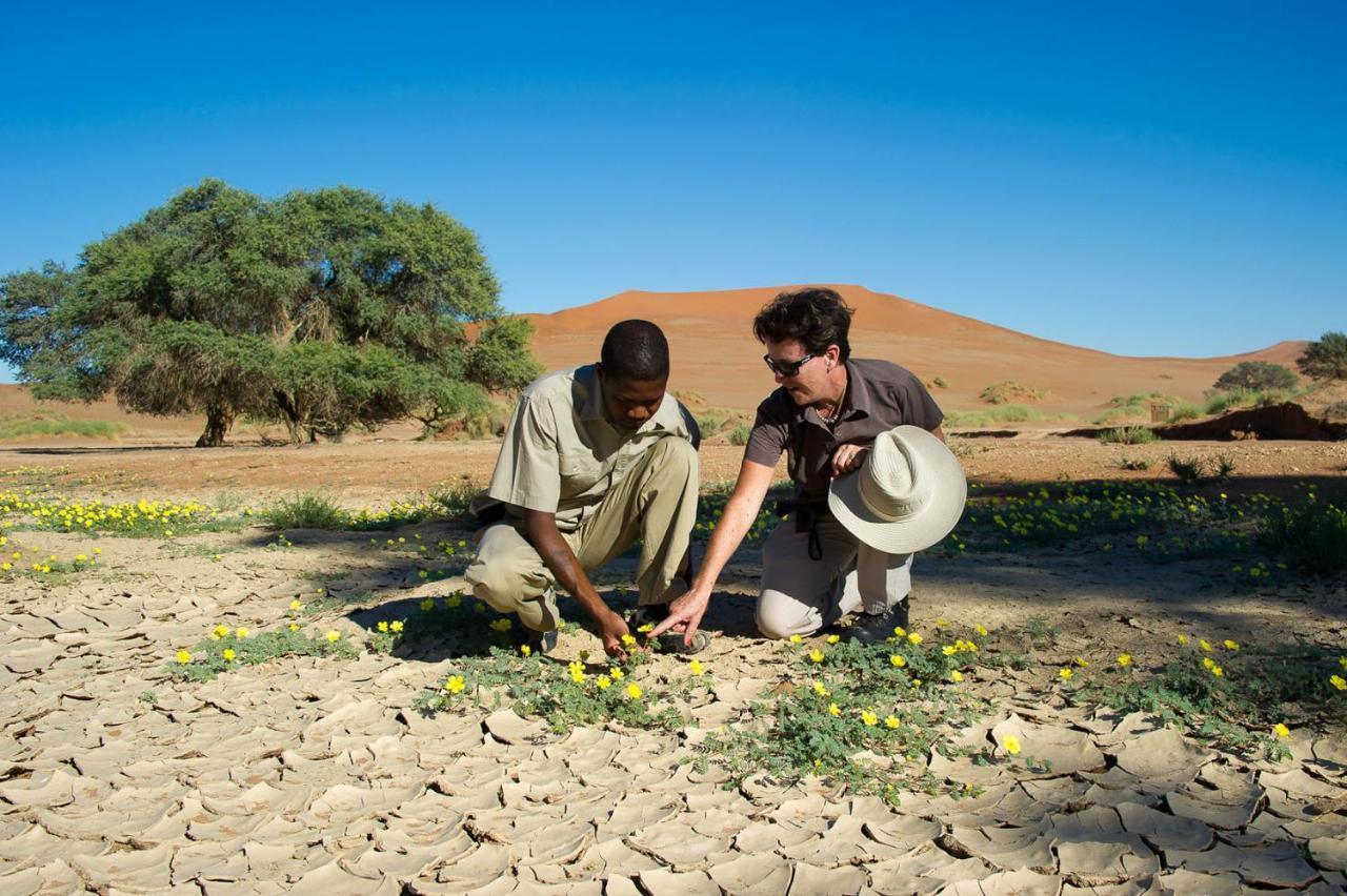 Wilderness Safaris Kulala Desert Lodge Sesriem Ngoại thất bức ảnh